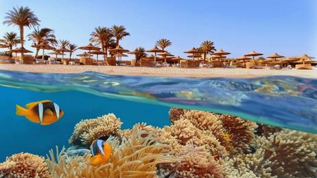 Rixos premium seagate 5* sharm el sheikh reviews and tour prices